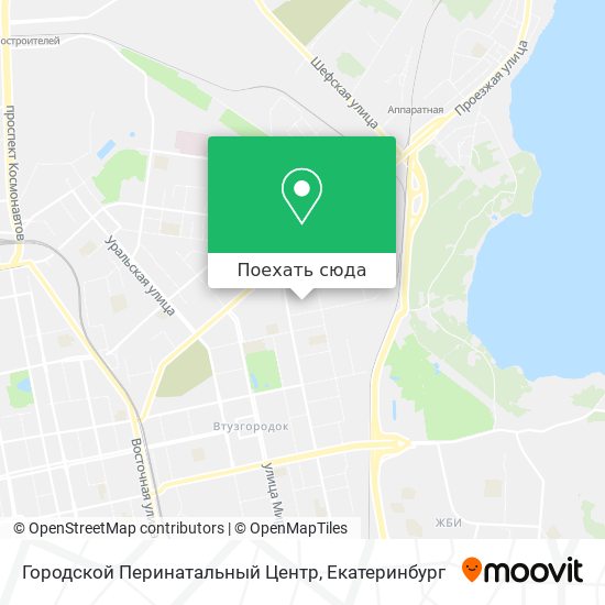 Карта Городской Перинатальный Центр