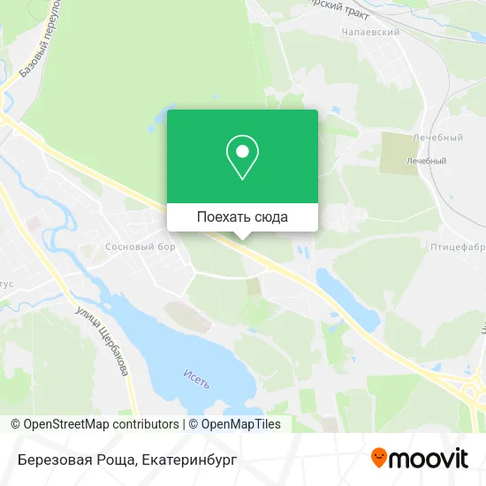Карта Березовая Роща
