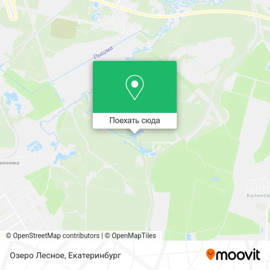 Карта Озеро Лесное