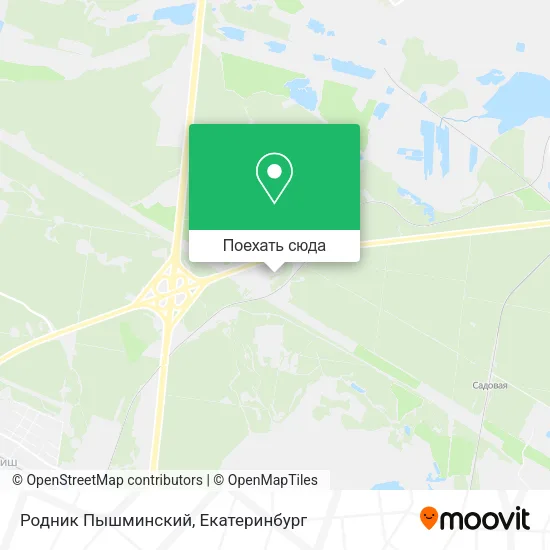 Карта Родник Пышминский