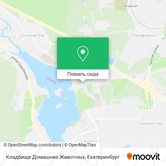 Карта Кладбище Домашних Животных
