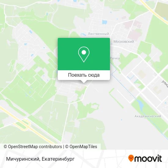 Карта Мичуринский