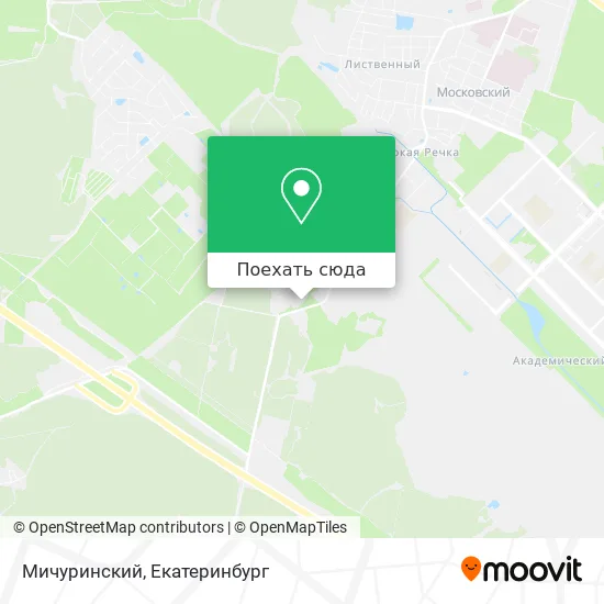 Карта Мичуринский