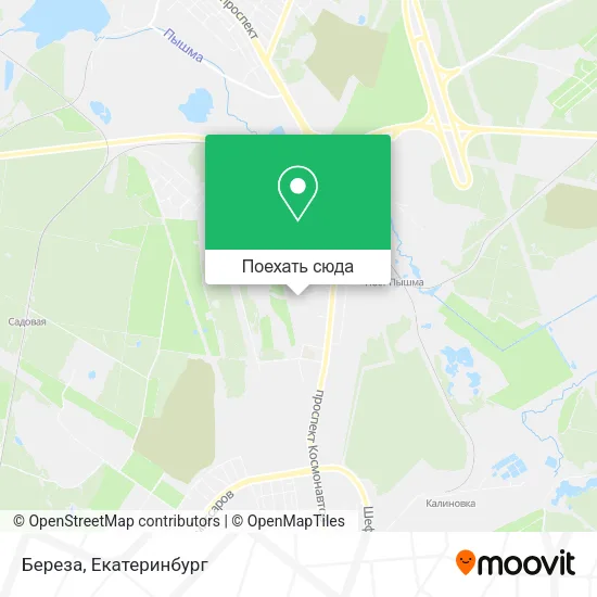 Карта Береза