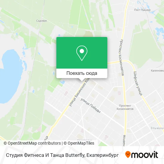 Карта Студия Фитнеса И Танца Butterfly