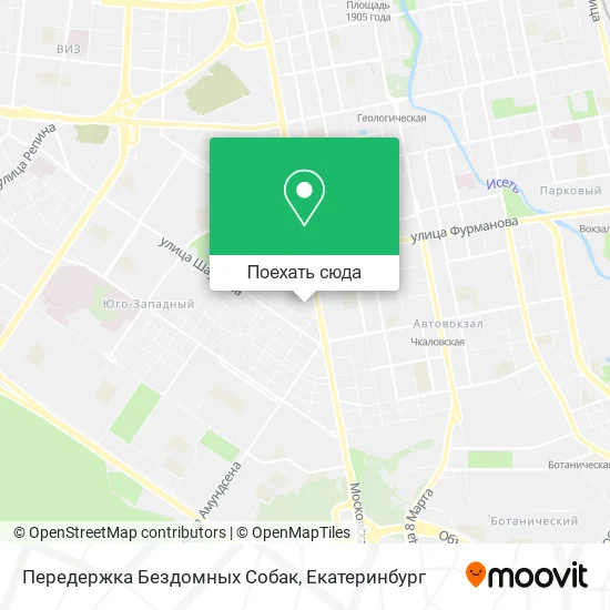 Карта Передержка Бездомных Собак
