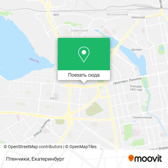 Карта Птенчики