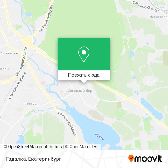 Карта Гадалка