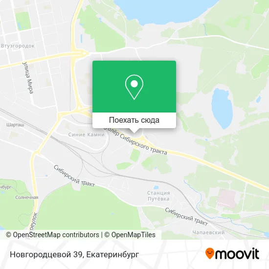 Карта Новгородцевой 39