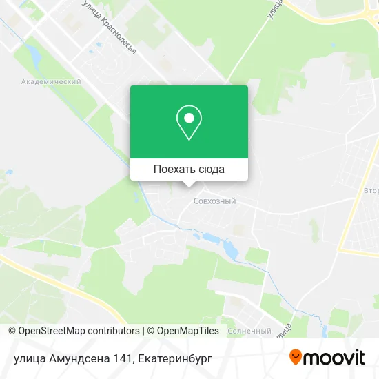 Карта улица Амундсена 141