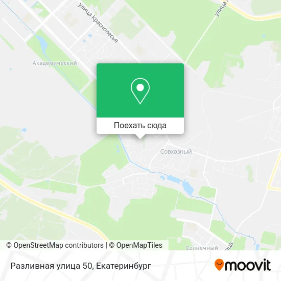 Карта Разливная улица 50
