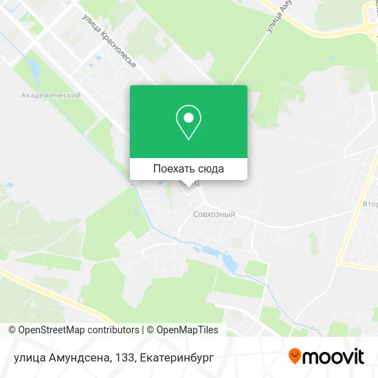 Карта улица Амундсена, 133
