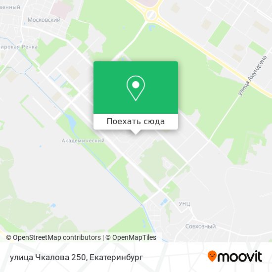 Карта улица Чкалова 250