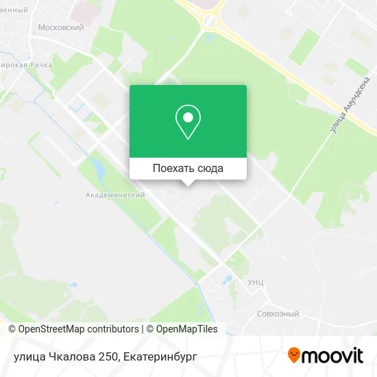 Карта улица Чкалова 250