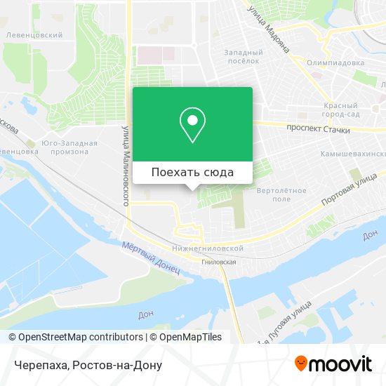 Карта Черепаха