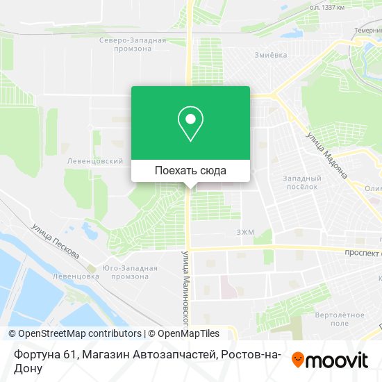 Карта Фортуна 61, Магазин Автозапчастей