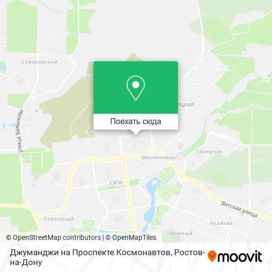 Карта Джуманджи на Проспекте Космонавтов