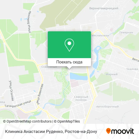 Карта Клиника Анастасии Руденко