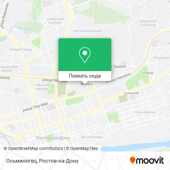 Карта Осьминогец