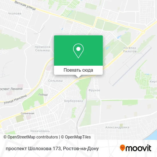 Карта проспект Шолохова 173