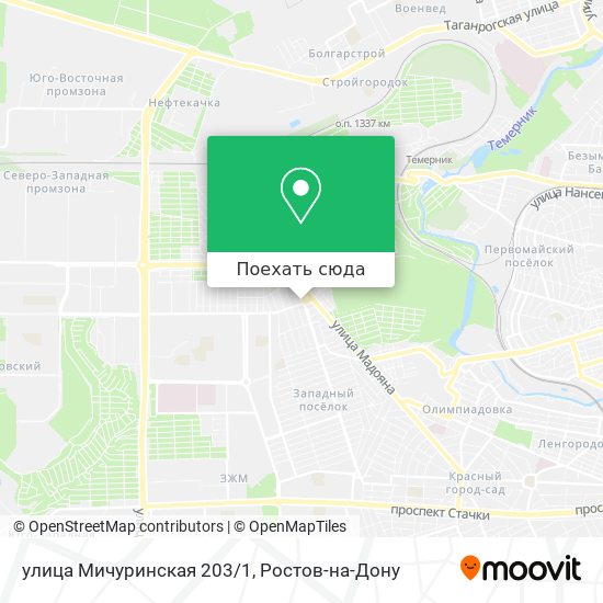 Карта улица Мичуринская 203/1