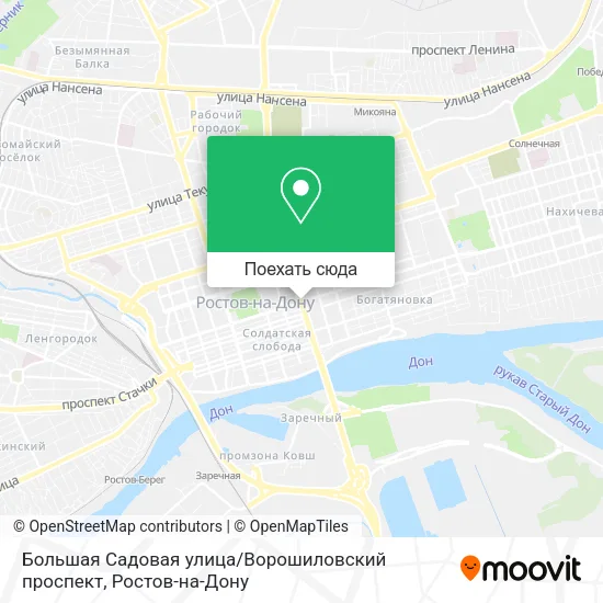 Карта Большая Садовая улица / Ворошиловский проспект