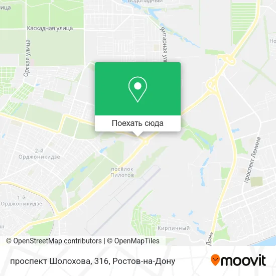 Карта проспект Шолохова, 316