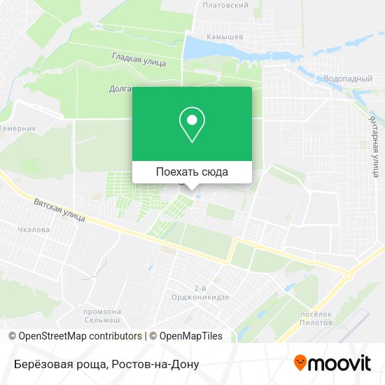 Карта Берёзовая роща