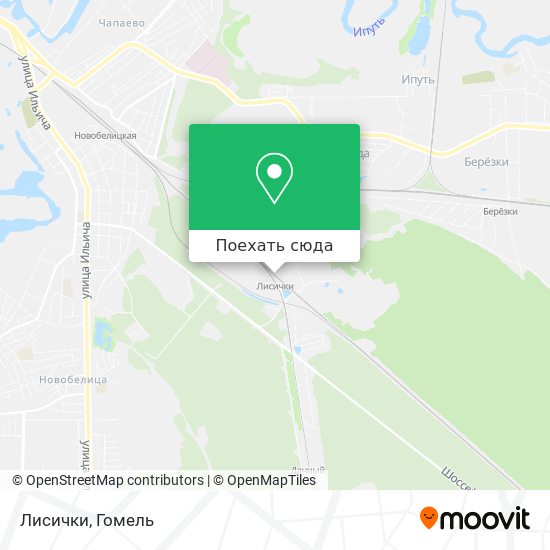 Карта Лисички