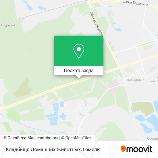Карта Кладбище Домашних Животных