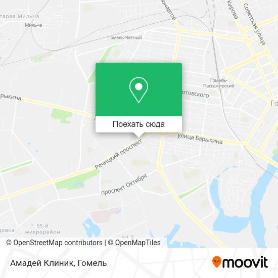 Карта Амадей Клиник