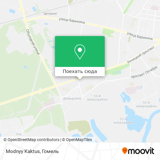Карта Modnyy Kaktus