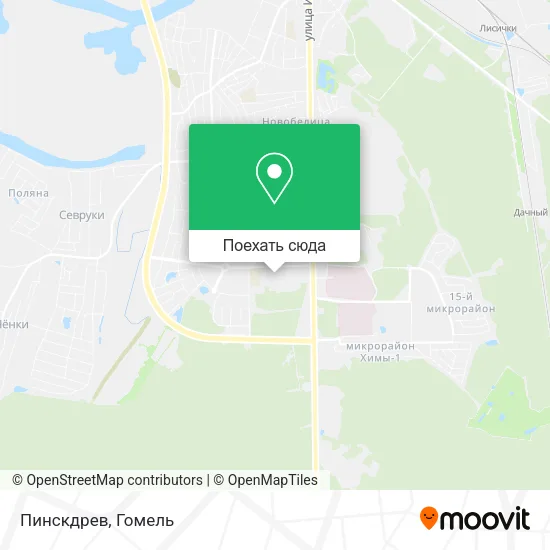 Карта Пинскдрев