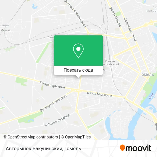 Карта Авторынок Бакунинский
