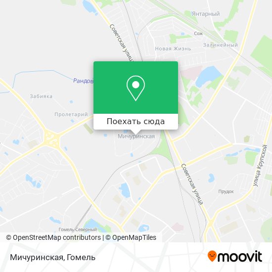 Карта Мичуринская