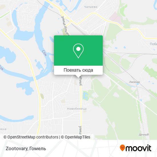 Карта Zootovary