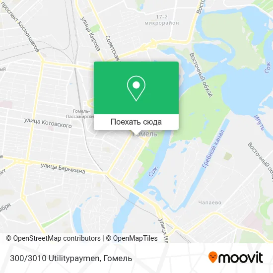 Карта 300/3010 Utilitypaymen