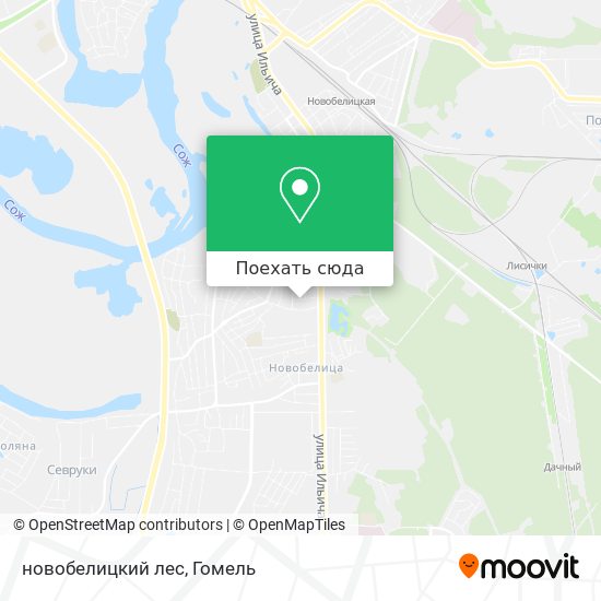 Карта новобелицкий лес