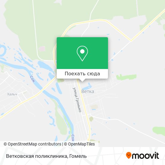 Карта Ветковская поликлиника
