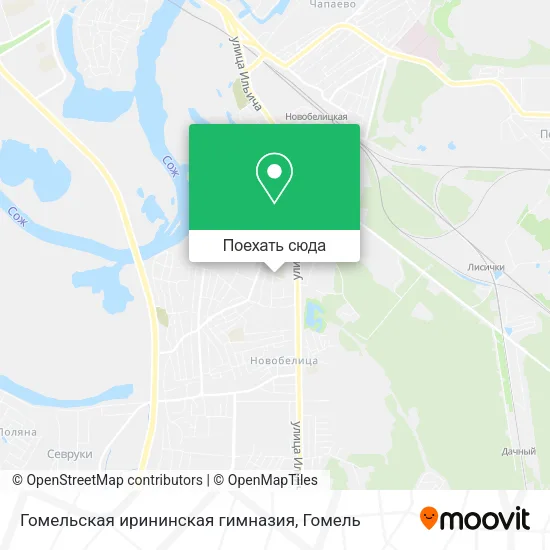 Карта Гомельская ирининская гимназия