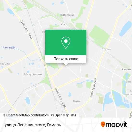 Карта улица Лепешинского