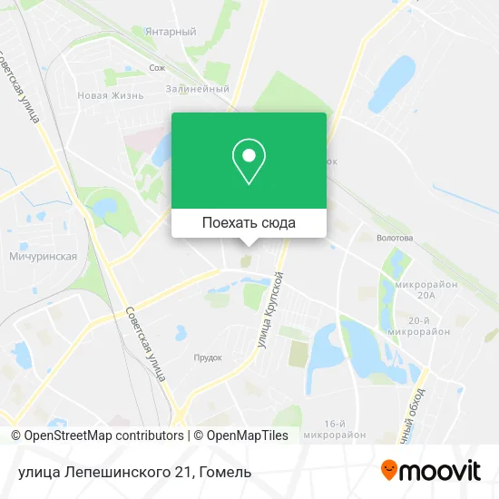 Карта улица Лепешинского 21