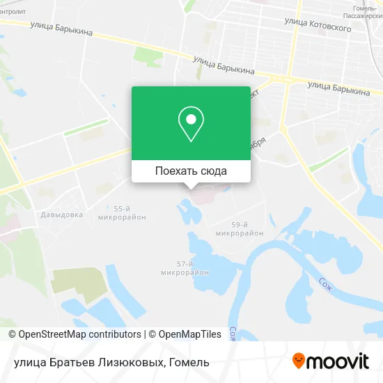 Карта улица Братьев Лизюковых