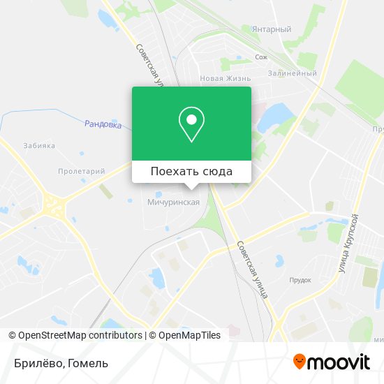 Карта Брилёво