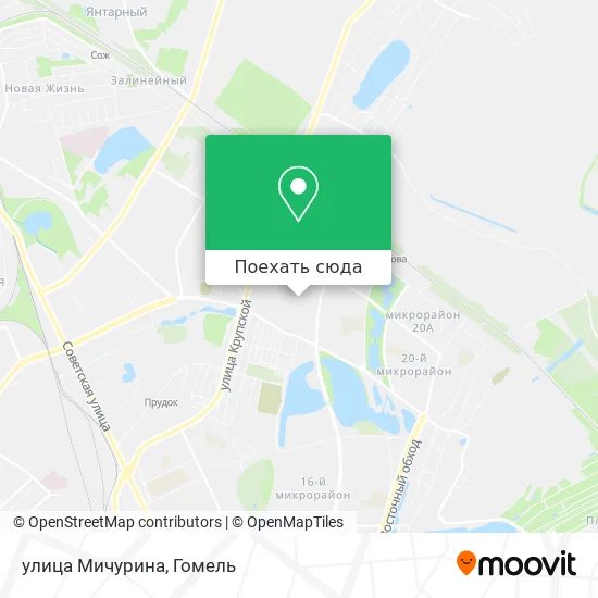 Карта улица Мичурина
