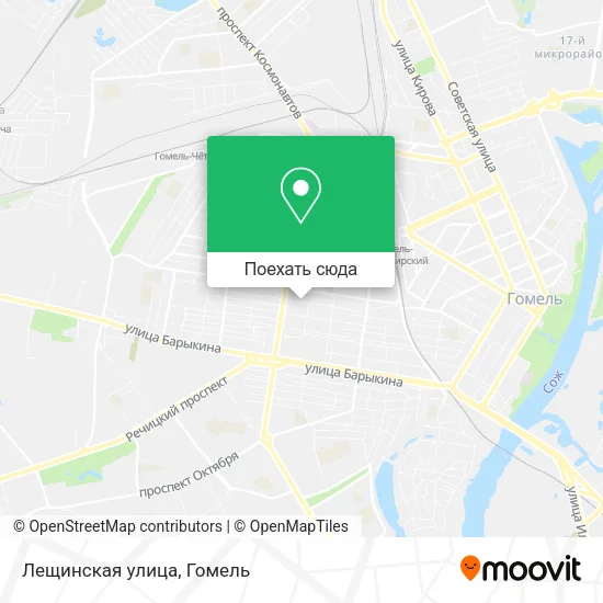 Карта Лещинская улица