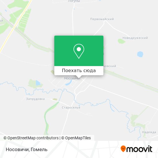 Карта Носовичи