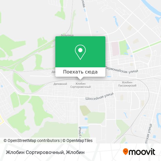 Карта Жлобин Сортировочный