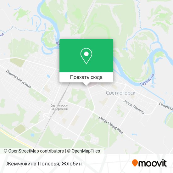 Карта Жемчужина Полесья