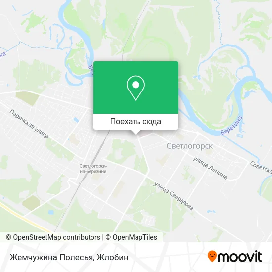 Карта Жемчужина Полесья